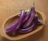 Photo David's Garden Seeds Eggplant Asian Delite (Purple) 25 Non-GMO, Hybrid Seeds, best price $3.45, bestseller 2024
