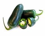 Foto Hot Chili Pfeffer Jalapeno Ruben - Pepper - sehr ertragreich - 10 Samen, bester Preis 1,60 €, Bestseller 2024
