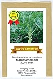 Foto Markstammkohl - vergessenes Gemüse - Brassica oleracea - 2000 Samen, bester Preis 1,95 €, Bestseller 2024