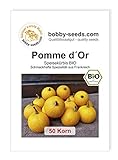 Foto Pomme d´Or BIO Kürbissamen von Bobby-Seeds 50 Korn, bester Preis 2,45 €, Bestseller 2024