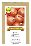 Foto Zwiebel - Zittauer Gelbe (300 Samen), bester Preis 1,95 €, Bestseller 2024