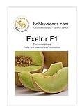 Foto Melonensamen Exelor F1 Galiamelone Portion, bester Preis 2,35 €, Bestseller 2024