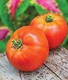 Photo Burpee Better Boy Hybrid Large Slicing Red Variety Non-GMO Vegetable Planting | Disease-Resistant Tomato for Garden, 30 Seeds, best price $8.05 ($0.27 / Count), bestseller 2024