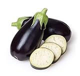 Photo Eggplant Seeds for Planting Home Garden - Container Vegetable Garden - Black Beauty Eggplant, best price $5.98, bestseller 2024