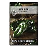 Photo Sow Right Seeds - Poblano Pepper Seeds for Planting - Make Ancho Chiles at Home - Non-GMO Heirloom Packet with Instructions to Plant a Home Vegetable Garden…, best price $4.99, bestseller 2024