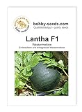 Foto Melonensamen Lantha F1 Wassermelone Portion, bester Preis 2,75 €, Bestseller 2024