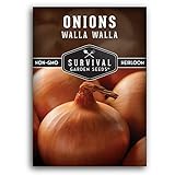 Photo Survival Garden Seeds - Walla Walla Onion Seed for Planting - Packet with Instructions to Plant and Grow Deliciously Sweet Long Day Onions in Your Home Vegetable Garden - Non-GMO Heirloom Variety, best price $4.99, bestseller 2024