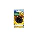 Vilmorin - Paquete semillas Sol girasol flor gigante nuevo 2024