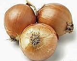 Photo Onion, Yellow Spanish Onion Seeds, (25+ Seeds) Heirloom, Non- GMO, One of The Most Popular for Gardeners, This Jumbo-Sized Onion is mild with Golden Brown Skin., best price $1.99, bestseller 2024