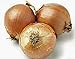 Onion, Yellow Spanish Onion Seeds, (25+ Seeds) Heirloom, Non- GMO, One of The Most Popular for Gardeners, This Jumbo-Sized Onion is mild with Golden Brown Skin. new 2023
