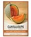 Cantaloupe Seeds for Planting - Hales Best Jumbo Heirloom, Non-GMO Vegetable Variety- 1 Gram Approx 45 Seeds Great for Summer Melon Gardens by Gardeners Basics new 2024