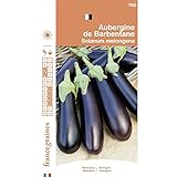 Photo France Graines - Aubergine de Barbentane, meilleur prix 4,95 €, best-seller 2024