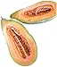 Banana Melon Cucumber Seeds, Exotic and Rare, 120 Heirloom Seeds Per Packet, Non GMO Seeds, Isla's Garden Seeds new 2024