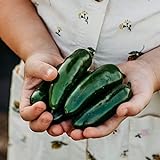 Photo Nadapeno Jalapeno Pepper - 25 Seeds - Heirloom & Open-Pollinated Variety, Non-GMO Vegetable Seeds for Planting in The Home Garden, Thresh Seed Company, best price $7.99, bestseller 2024