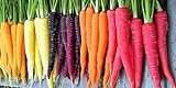 Photo Rainbow Carrot Seeds for Planting | Non-GMO & Heirloom Vegetable Seeds | 750 Carrot Seeds to Plant Outdoor Home Garden | Buy Planting Packets in Bulk (1 Pack), best price $7.99, bestseller 2024