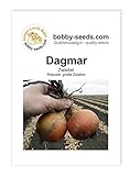 Foto Zwiebelsamen Dagmar Portion, bester Preis 1,35 €, Bestseller 2024