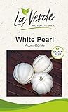 Foto White Pearl Kürbissamen, bester Preis 3,25 €, Bestseller 2024