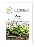 Foto Bohnensamen Maxi fadenlose Buschbohne Portion, bester Preis 1,95 €, Bestseller 2024