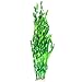 JDYW 52cm Künstliche Aquarium Pflanzen Große Kunststoff Wasserpflanze Gefälschte Wasser Gras Aquarium Dekorationen Ornament 20.5 Zoll neu 2023