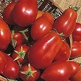 Photo Shop Meeko Tomate - San Marzano - 75 graines, meilleur prix 4,59 €, best-seller 2024