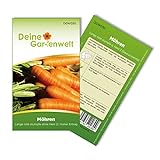Foto Möhren lange rote Stumpfe ohne Herz 2 Samen - Daucus carota - Möhrensamen - Gemüsesamen - Saatgut für 800 Pflanzen, bester Preis 1,99 € (0,00 € / stück), Bestseller 2024