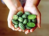 Photo Mouse Melon Seeds | 20 Seeds | Grow This Exotic and Rare Garden Fruit | Cucamelon Seeds, Tiny Fruit to Grow, best price $6.96 ($0.35 / Count), bestseller 2024