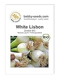 Foto BIO-Zwiebelsamen White Lisbon, Lauchzwiebel Portion, bester Preis 2,45 €, Bestseller 2024