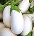 David's Garden Seeds Eggplant White Star (White) 25 Non-GMO, Hybrid Seeds new 2024