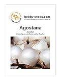 Foto Zwiebelsamen Agostana Portion, bester Preis 1,35 €, Bestseller 2024
