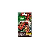 Photo Vilmorin - Sachet graines Tomate Harmony HF1, meilleur prix 7,75 €, best-seller 2024