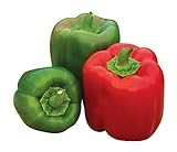 Photo Burpee 'Sweet Candy Apple' Hybrid | Bell Pepper, best price $8.38 ($0.28 / Count), bestseller 2024