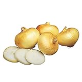 Photo Burpee Granex Yellow Onion Seeds 450 seeds, best price $6.57, bestseller 2024