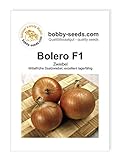 Foto Zwiebelsamen Bolero F1 Portion, bester Preis 1,95 €, Bestseller 2024
