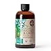 Organic Succulent & Cactus Plant Food - Gentle Liquid Fertilizer Nutrients for Aloe Vera and Other Common Indoor and Outdoor Succulents & Cacti (8 oz) new 2023