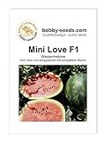 Foto Bobby-Seeds Melonensamen Mini Love F1 Wassermelone Portion, bester Preis 4,59 €, Bestseller 2024