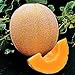 Seed Kingdom Cantaloupe Hales Best Jumbo Melon Heirloom Vegetable 3,000 Seeds new 2024
