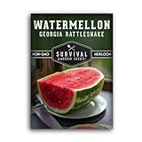 Photo Survival Garden Seeds - Georgia Rattlesnake Watermelon Seed for Planting - Packet with Instructions to Plant and Grow Melons in Your Home Vegetable Garden - Giant Super Sweet Non-GMO Heirloom Variety, best price $4.99, bestseller 2024