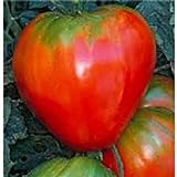 Photo German Red Strawberry Tomato Seeds (20+ Seeds) | Non GMO | Vegetable Fruit Herb Flower Seeds for Planting | Home Garden Greenhouse Pack, best price $3.69 ($0.18 / Count), bestseller 2024