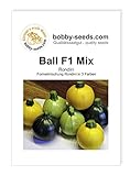 Foto Kürbissamen Ball Mix F1 Zucchini Rondinimischung Portion, bester Preis 2,95 €, Bestseller 2024