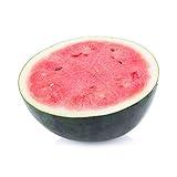 Photo 50 Sugar Baby Watermelon Seeds for Planting - Heirloom Non-GMO USA Grown Premium Fruit Seeds for Planting a Home Garden - Small Watermelon Citrullus Lanatus by RDR Seeds, best price $4.99 ($0.10 / Count), bestseller 2024