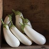 Photo David's Garden Seeds Eggplant Aretussa (White) 25 Non-GMO, Hybrid Seeds, best price $3.45, bestseller 2024
