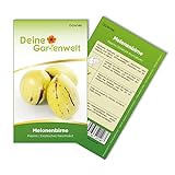 Foto Melonenbirne Birnenmelone Pepino Samen - Solanum muricatum - Melonenbirnensamen - Obstsamen - Saatgut für 6 Pflanzen, bester Preis 2,69 € (0,45 € / stück), Bestseller 2024