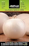 Foto Cebolla Grande tardía de LERIDA, mejor precio 1,60 €, éxito de ventas 2024