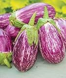 Photo Exotic Listada de Gandia Eggplant Seed for Planting | 50+ Seeds | Ships from Iowa, USA | Non-GMO Exotic Heirloom Vegetables | Great Gardening Gift, best price $7.98, bestseller 2024