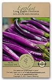 Photo Gaea's Blessing Seeds - Eggplant Seeds - Long Purple Heirloom Non-GMO Seeds with Easy to Follow Planting Instructions - 91% Germination Rate Net Wt. 1.0g, best price $5.99, bestseller 2024