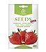Erdbeeren, Samen von Minigarden, enthält zwischen 300 und 340 Samen neu 2024