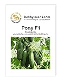 Foto Pony F1 Snackgurkensamen von bobby-seeds Portion, bester Preis 4,69 €, Bestseller 2024
