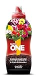 Photo NUTRIONE ONELI500 Engrais Premium Liquide Universel 500 ML Luxuriantes | pour Toutes Plantes et Fleurs, Croissance Equilibrée, 500ml, meilleur prix 14,81 € (29,62 € / l), best-seller 2024