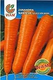 Foto Zanahoria Nantesa WAM - Sobre de 10 gr, mejor precio 2,01 €, éxito de ventas 2024
