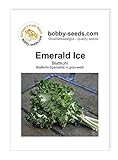 Foto Kohlsamen Emerald Ice Bündelkohl Portion, bester Preis 2,95 €, Bestseller 2024